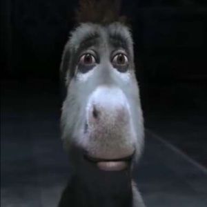 Meet your Posher, Flynt